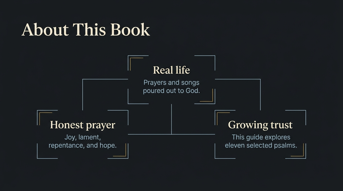 About This Book